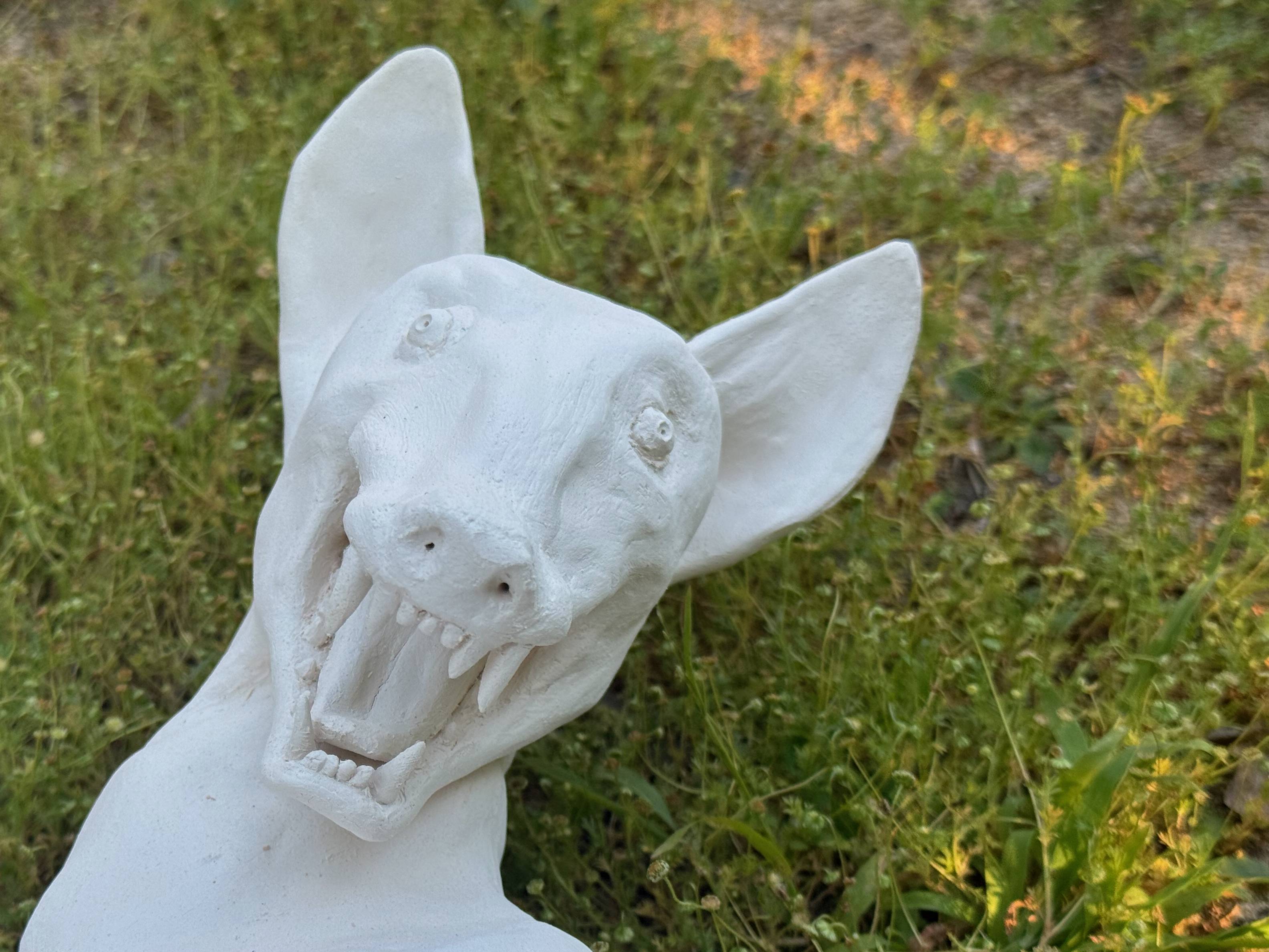 Coyote - Image 5