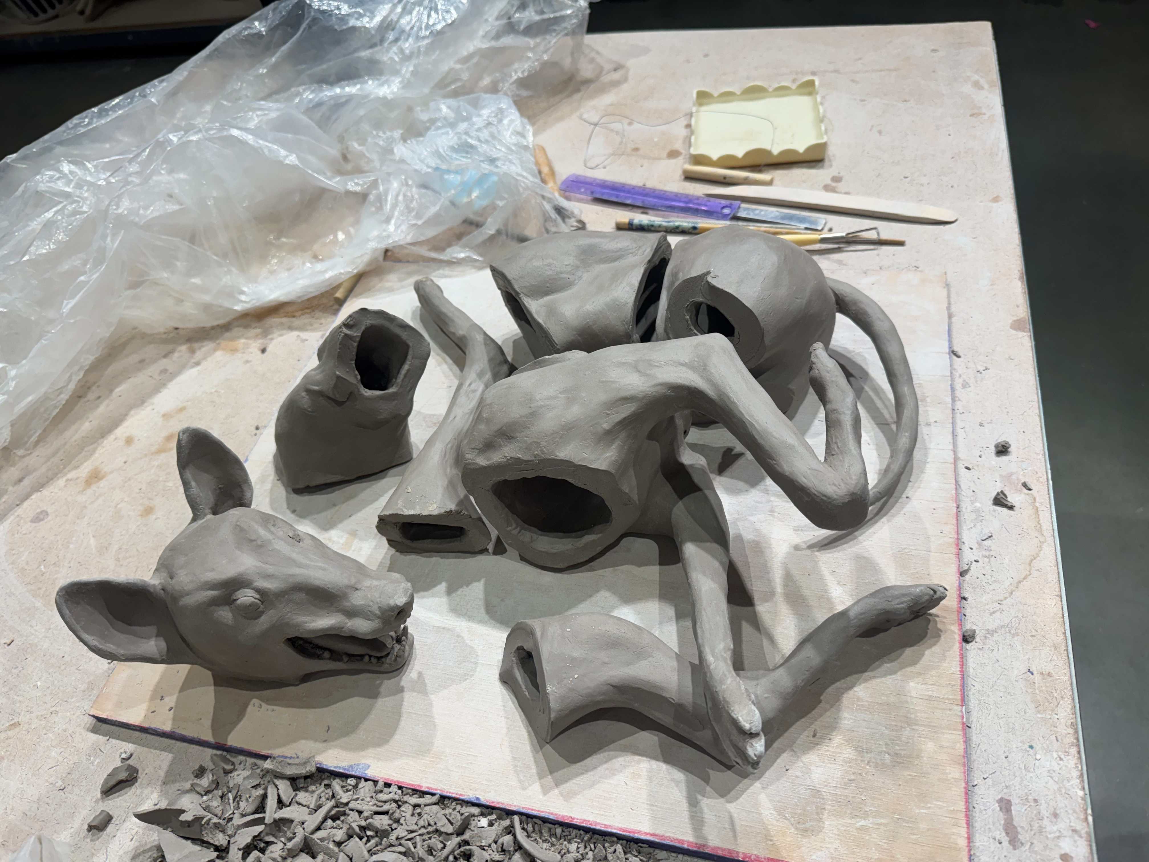 Image from The Coyote